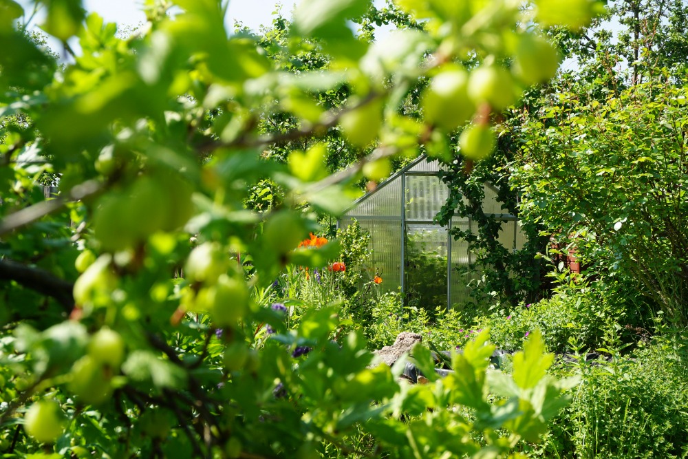 Garden waste