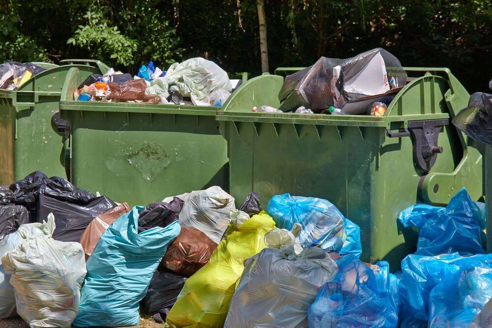 Bin strike Birmingham