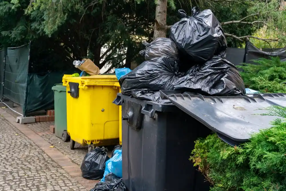 December home clear-out waste
