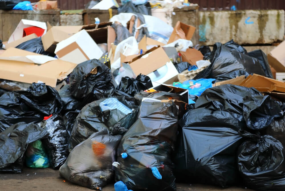 Missed waste collections Birmingham